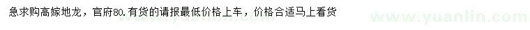 求購冠幅80公分地龍