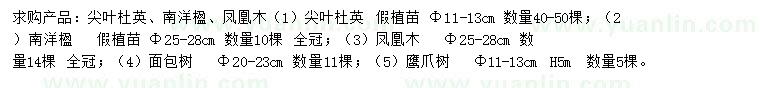 求購尖葉杜英、南洋楹、鳳凰木