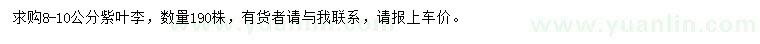 求購8-10公分紫葉李