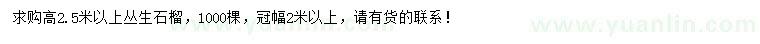 求購(gòu)高2.5米以上叢生石榴