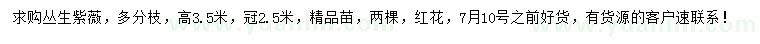 求購高3.5米叢生紫薇