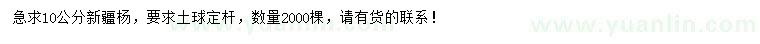 求購10公分新疆楊