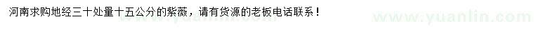 求購地徑30處量15公分的紫薇