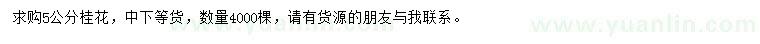 求購5公分桂花