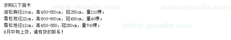 求購胸徑10公分油松、地徑12、22公分雪松