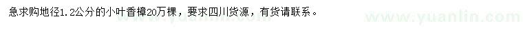 求購地徑1.2公分小葉香樟