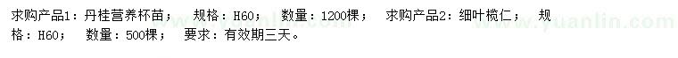 求購(gòu)高60公分丹桂、細(xì)葉欖仁