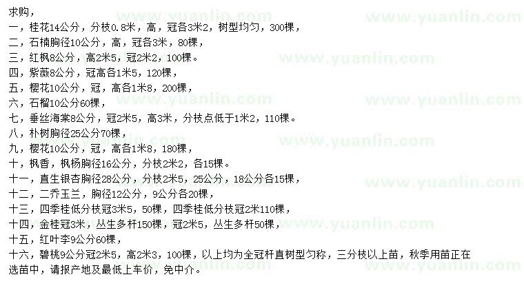 求購(gòu)桂花、石楠、紅楓等