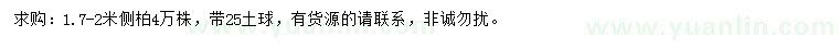 求購1.7-2米側柏