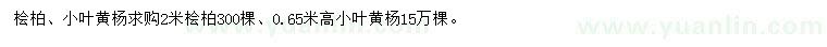 求購2米檜柏、0.65米高小葉黃楊