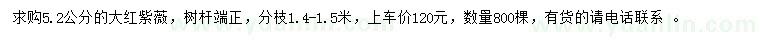 求購5.2公分大紅紫薇