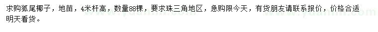 求購(gòu)桿高4米狐尾椰子