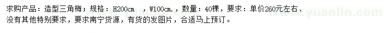 求購高200公分造型三角梅