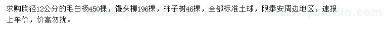 求購毛白楊、饅頭柳、柿子樹