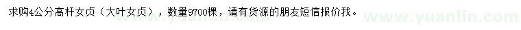 求購4公分高桿女貞（大葉女貞）