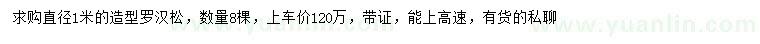 求購直徑1米造型羅漢松