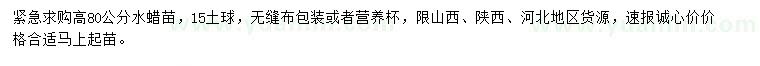 求購(gòu)高80公分水蠟苗