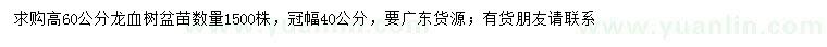 求購高60公分龍血樹
