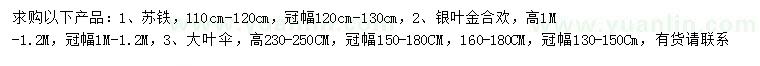 求購(gòu)蘇鐵、銀葉金合歡、大葉傘