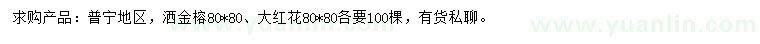 求購(gòu)80*80公分灑金榕、大紅花
