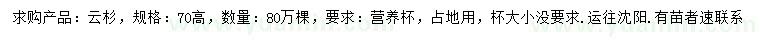 求購70公分高云杉