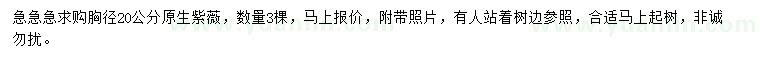 求購(gòu)胸徑20公分原生紫薇