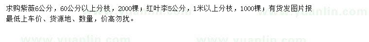 求購6公分紫薇、5公分紫葉李