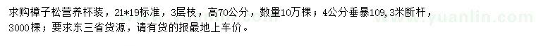 求購高70公分樟子松、4公分垂暴109