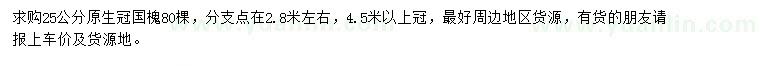 求購25公分國槐