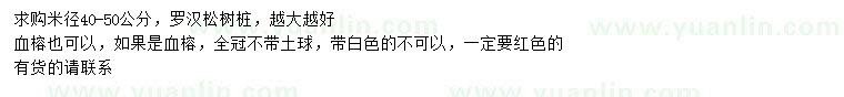 求購米徑40-50公分羅漢松樹樁