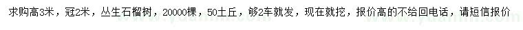 求購高3米叢生石榴樹