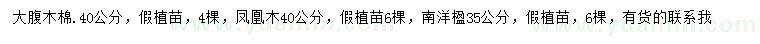 求購(gòu)大腹木棉、鳳凰木、南洋楹