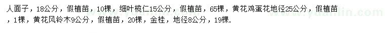 求購人面子、細(xì)葉欖仁、黃花雞蛋花等