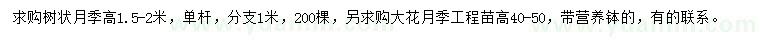 求購(gòu)高1.5-2米樹狀月季