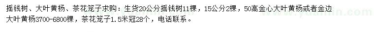 求購搖錢樹、大葉黃楊、茶花籠子