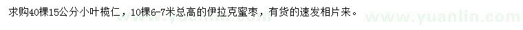 求購(gòu)15公分小葉欖仁、高6-7米伊拉克蜜棗