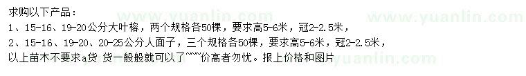 求購15-16、19-20公分大葉榕、15-16、19-20、20-25公分人面子