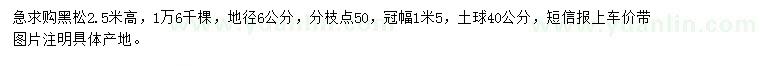 求購(gòu)高2.5米黑松