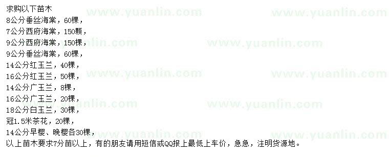 求購垂絲海棠、西府海棠、紅玉蘭等