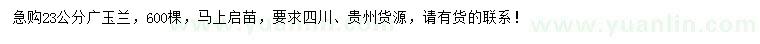 求購23公分廣玉蘭