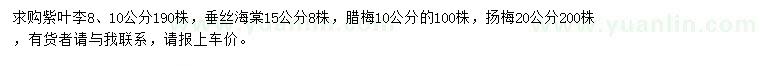 求購紫葉李、垂絲海棠、臘梅等