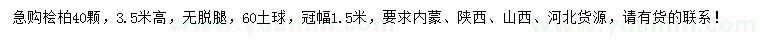 求購高3.5米檜柏