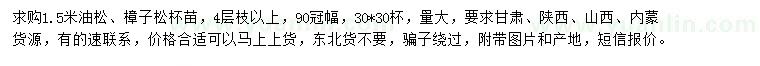 求購1.5米油松、樟子松