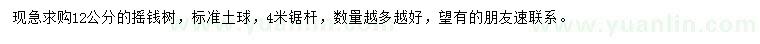 求購12公分搖錢樹