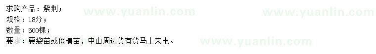 求購18公分紫荊