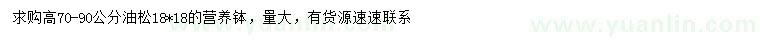 求購高70-90公分油松