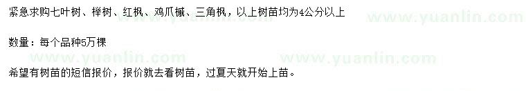求購(gòu)七葉樹(shù)、櫸樹(shù)、紅楓等