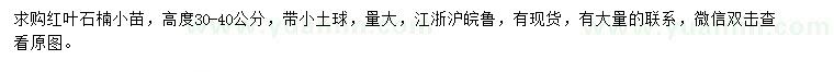 求購(gòu)高度30-40公分紅葉石楠小苗