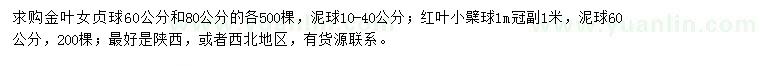 求購金葉女貞球、紅葉小檗球