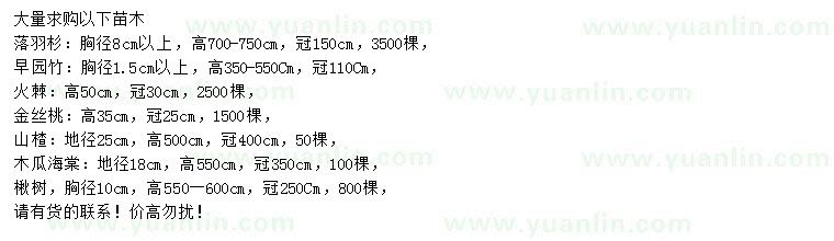 求購落羽杉、早園竹、火棘等